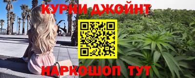 гидра Заводоуковск