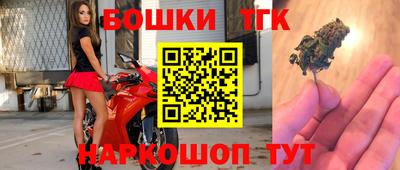 гидра Заводоуковск