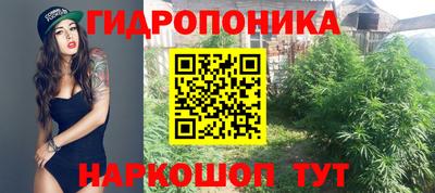 не бодяженный Жуковский