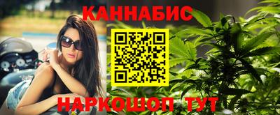 гидра Заводоуковск
