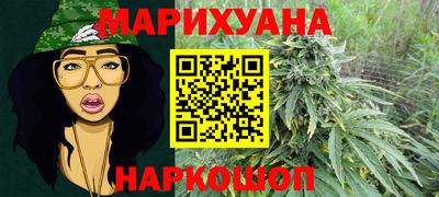 гидра Заводоуковск
